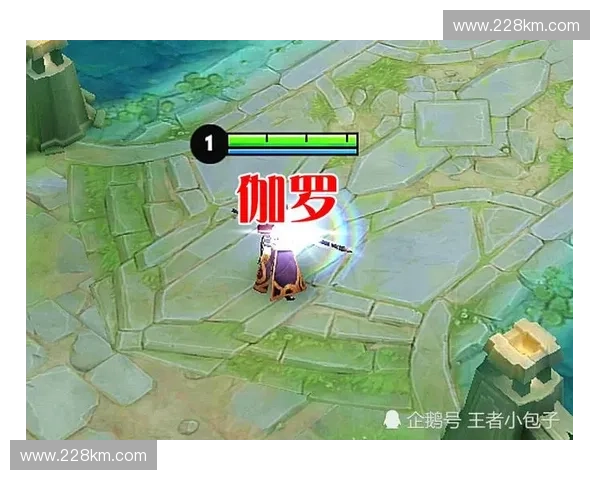 手长英雄为核心解析最远攻击距离与战斗策略的深度剖析